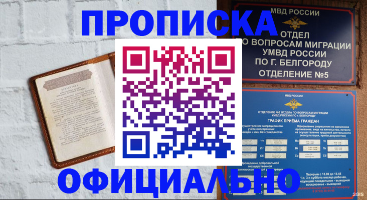 временная регистрация для школы в Курчалом